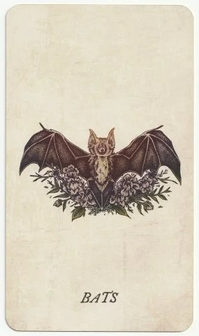 Bats