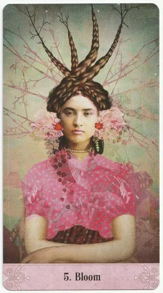 Bloom