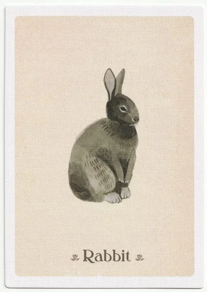 Rabbit