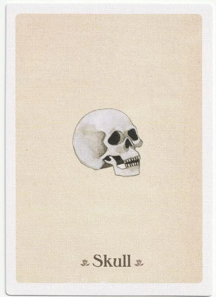 Skull