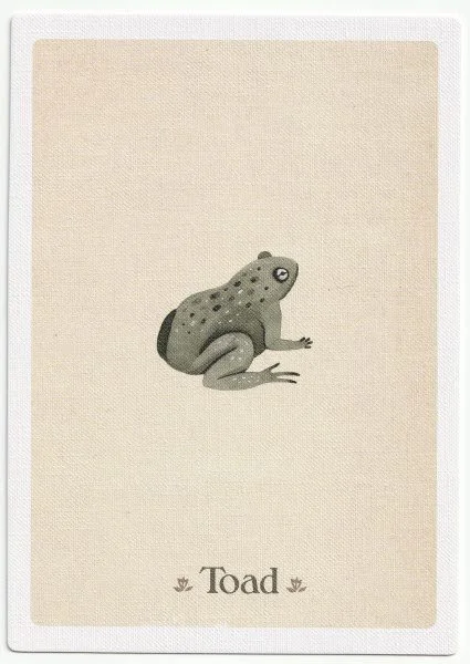 Toad